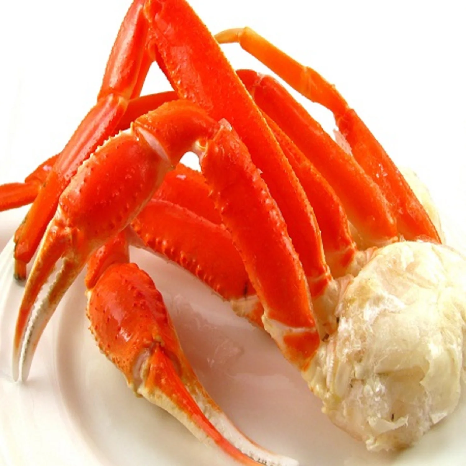 Wholesale Alaskan King Crab / Best Selling Frozen King Crab Legs Wholesale / Buy Canadian Red King Crab Legs