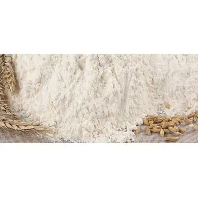 High Quality Food Grade Vital Wheat Gluten 25KG Wheat Flour price, cheap wheat