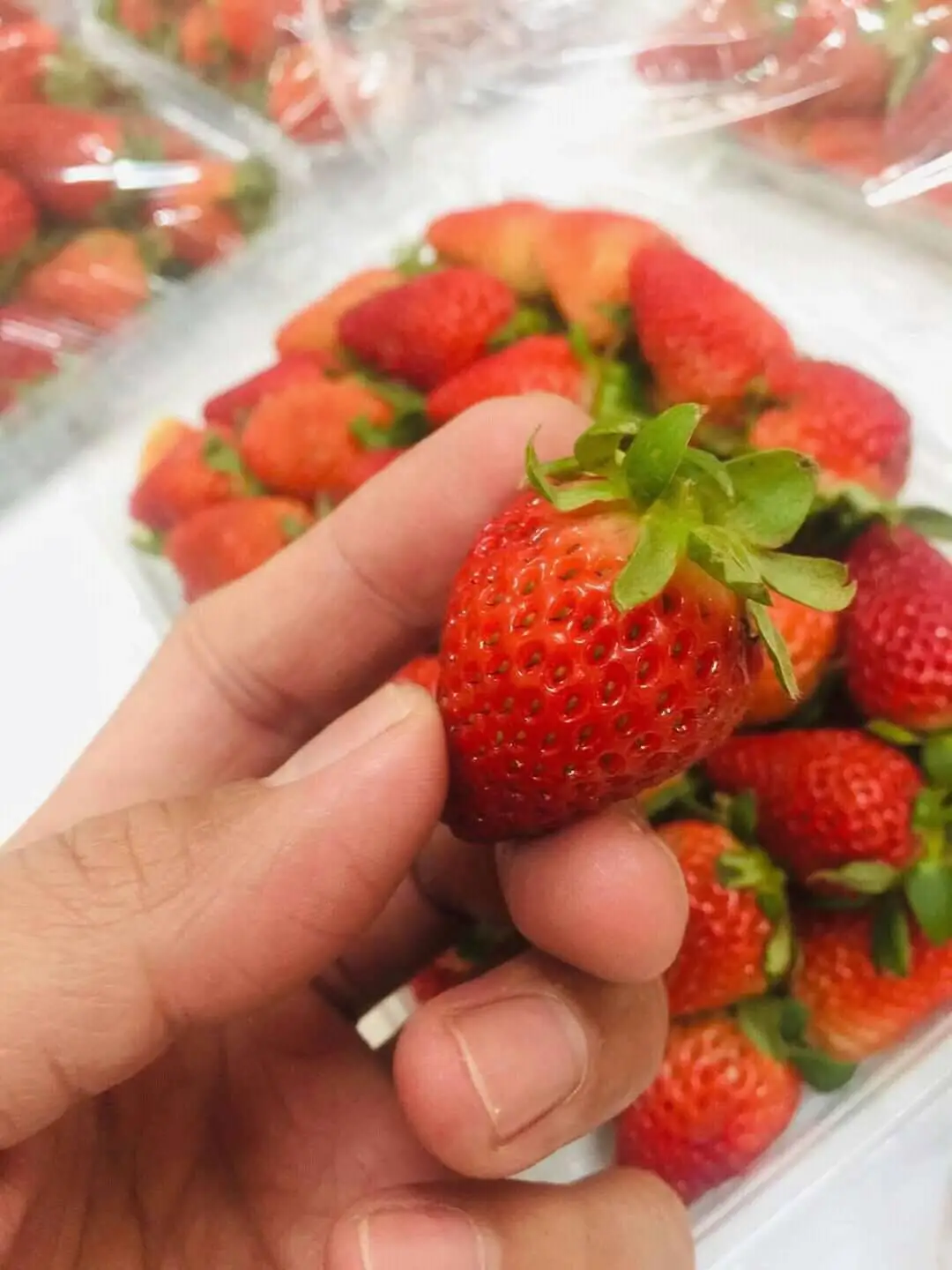 strawberries 2.jpg