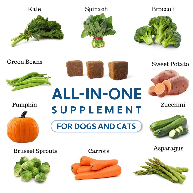 oem Daily Multivitamin Supplement Soft Chew for dogs and cats Immunity Digestion Joint and Heart Health