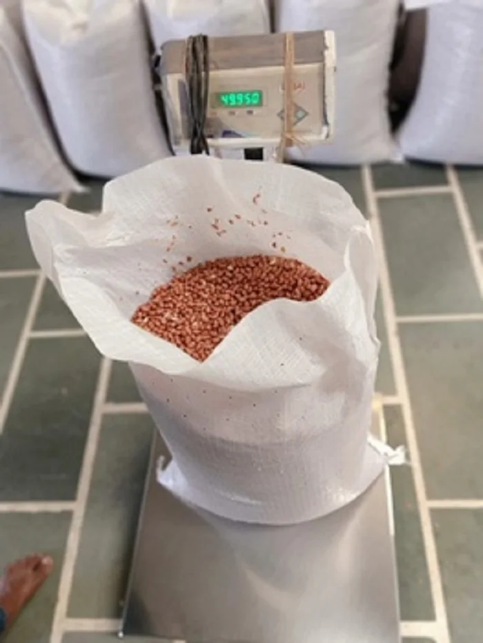 BOLD PEANUT 40 50 KERNEL.jpg