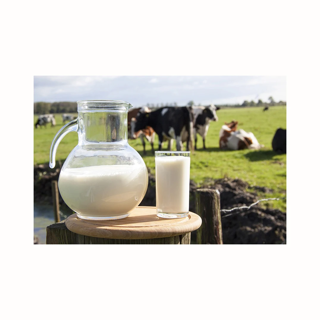 Fresh and Natural cow milk Margarine Unsalted Butter 82% 1kg Halal Certified Bakery Margarine (Premium Buttery Flavour)