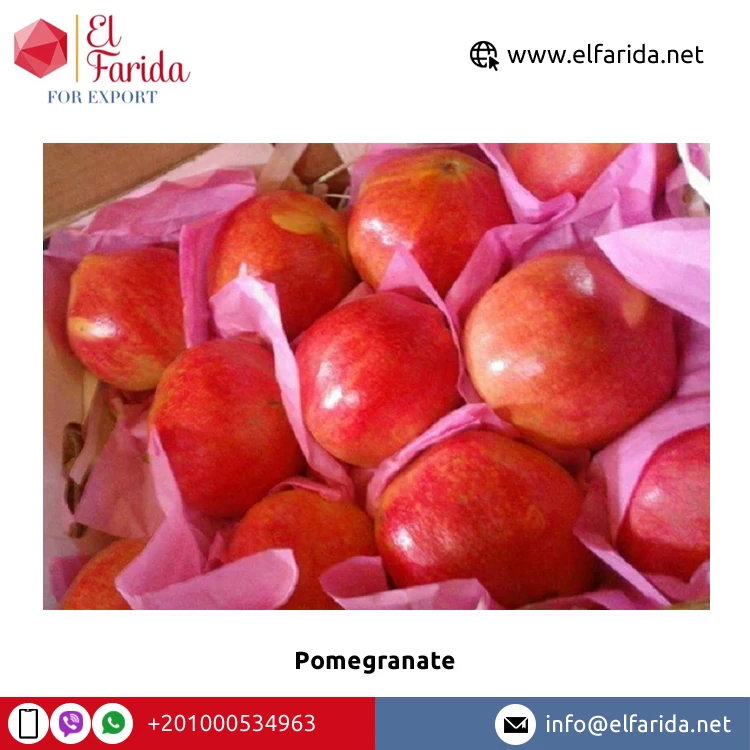 Superior Quality Bulk Sale 100% Natural Sweet Delicious Red Fresh Fruit Pomegranate at Wholesale Market Price