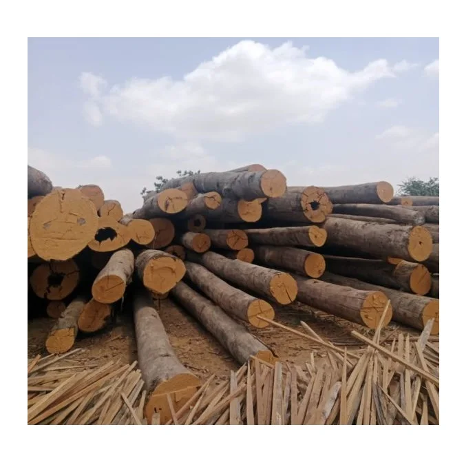 Оптовая цена Meranti деревянные бревна производитель поставщик