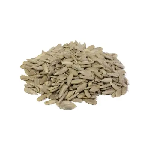Oil extraction sunflower seed bulk supplier from India wonder prices
