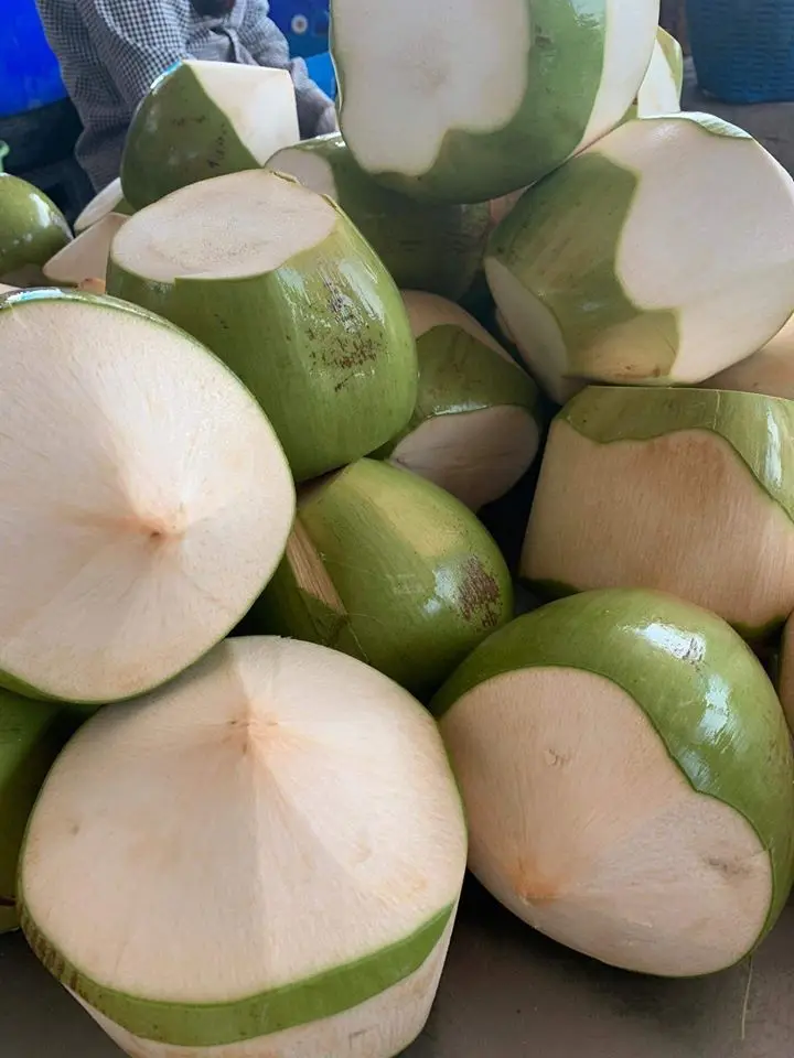 Поставщик тропических фруктов/кокосового молодого частичного зеленого очищенного кокоса/молодой очищенный кокос из Вьетнама (Whatsapp 84 366 808