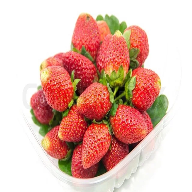 Fresh Strawberries Wholesale Cheap Price Premium Natural Sweet Flavor Buy Available In Stock