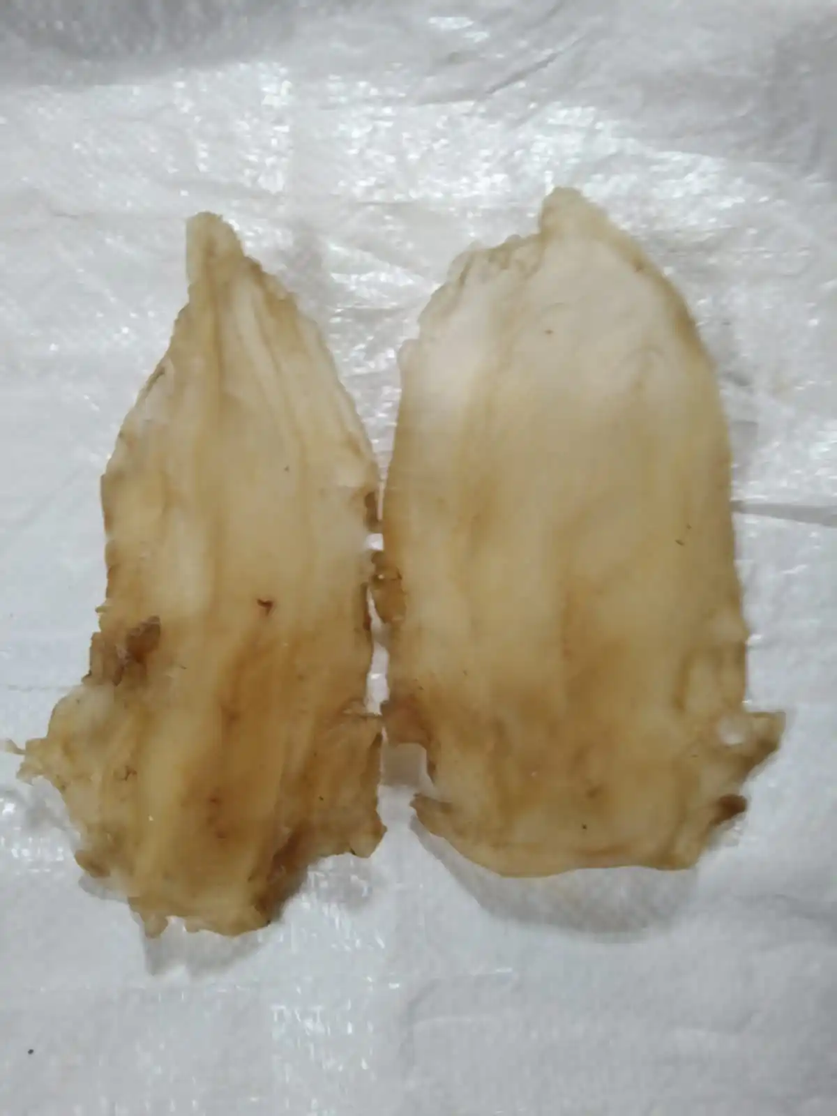 yellow fish maw Jew Fish Maw Datina fish maw soup tonic Factory wholesale Suriname Seafood Dried Goods from Bangladesh sea