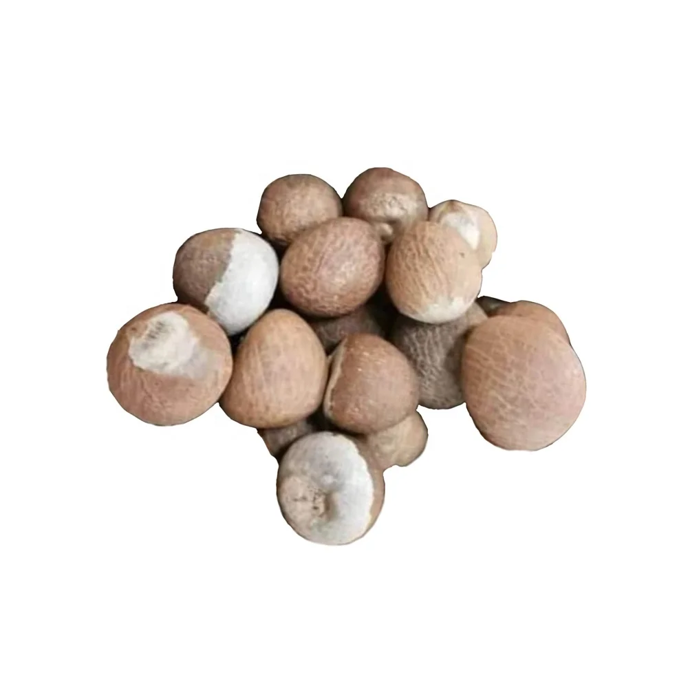 Best Selling Export Quality Areca Whole Betel Nut High Quality Betel Nuts Products