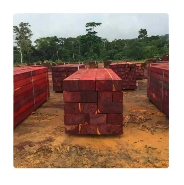 African Padauk Wood Log/ Timber/ Sawn with Negotiable Price for Flooring, Furniture and Other Wood Objects