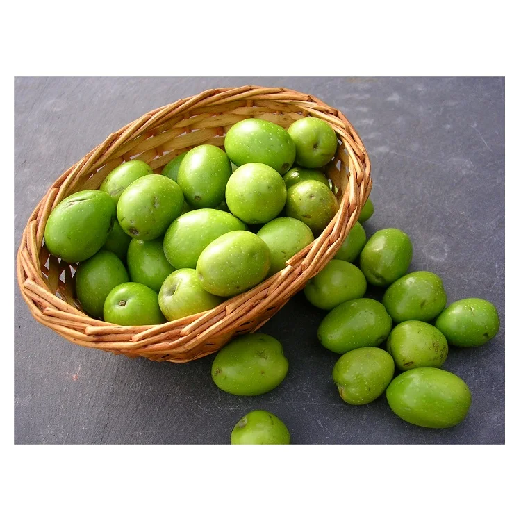 Best Quality Fresh Green Olives