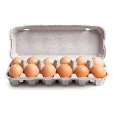 Organic Fresh White Chicken Table Eggs & Fertilized Hatching Eggs Preserved Frozen for Food Use Wholesale Price Including Yolk
