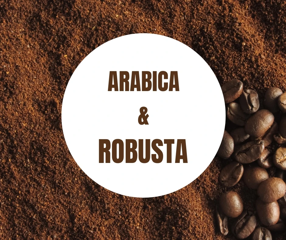 Hot Product - Coffee Powder- 250g 100% Natural Powder Instant Coffee Powder by Vinut Trust in Viet Nam Factory