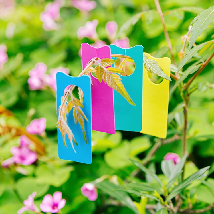 5 CM Mini Hanging tag flower tags hanging mini plastic plant tree tag waterproof PVC material garden label