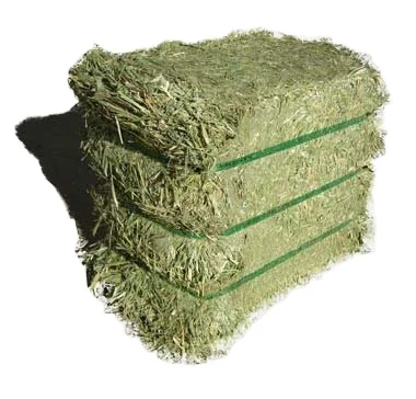 USA Super Top Quality Alfafa Hay for Animal Feeding Stuff Alfalfa / Timothy / Alfalfa Hay for Sale