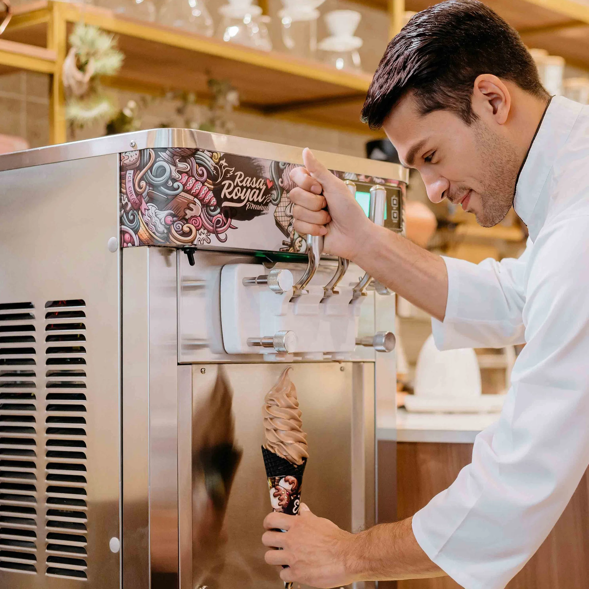 Rasa Royal Premium Ice Cream Soft Serve Countertop Machine for Commercial Use, Two Flavor, Digital Control, Twin Twist, Pump