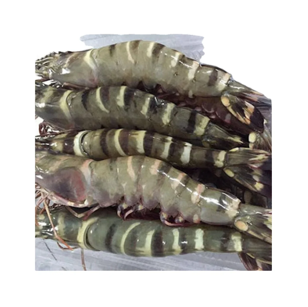 Vietnam Wholesale Raw PD Black Tiger Prawn, Fresh Seafood High quality Peeled Shrimp Black Tiger Shrimp