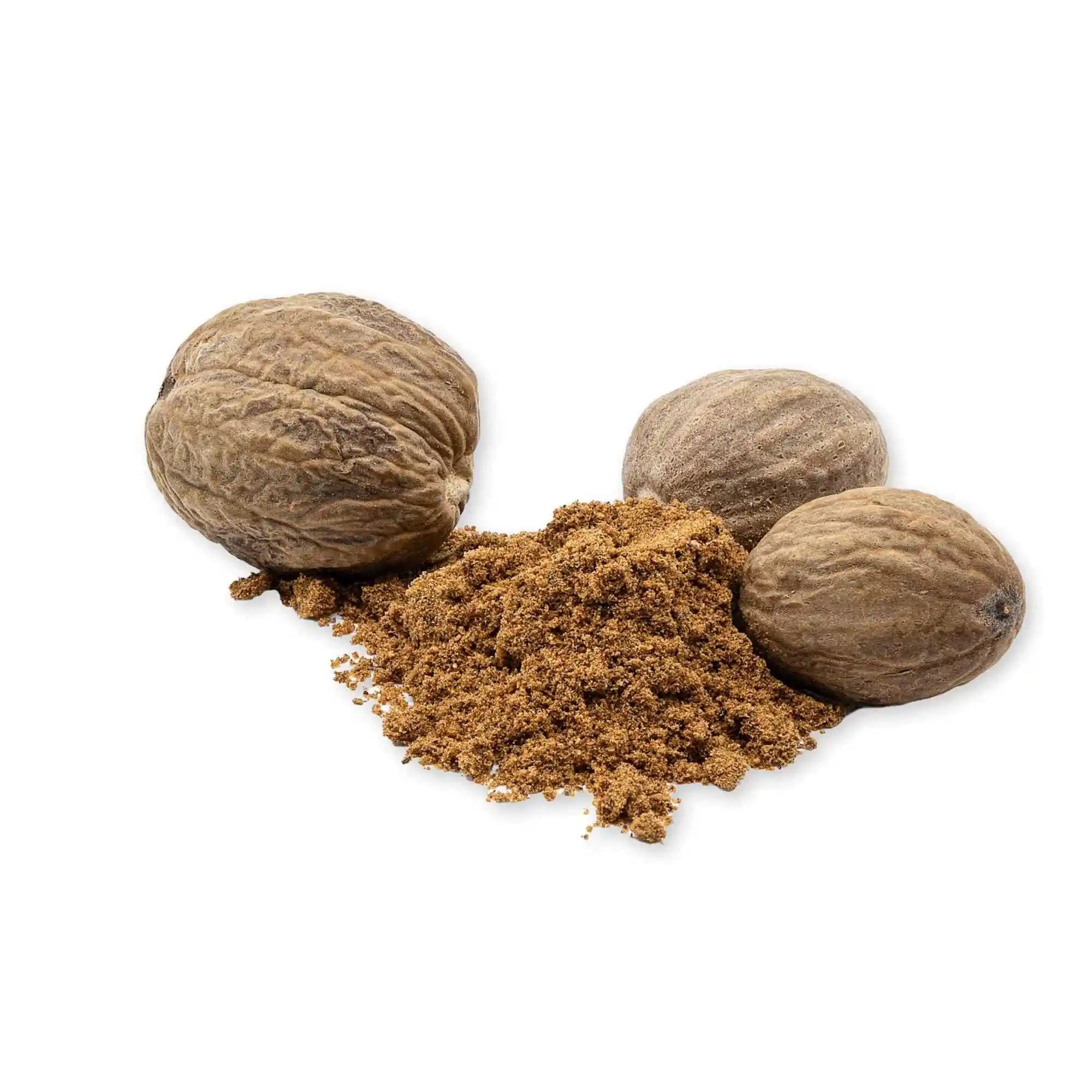 Premium Nutmeg for Sale Bulk Supply of Dried Nutmeg for Spices and Seasoning Wholesale Prices Available