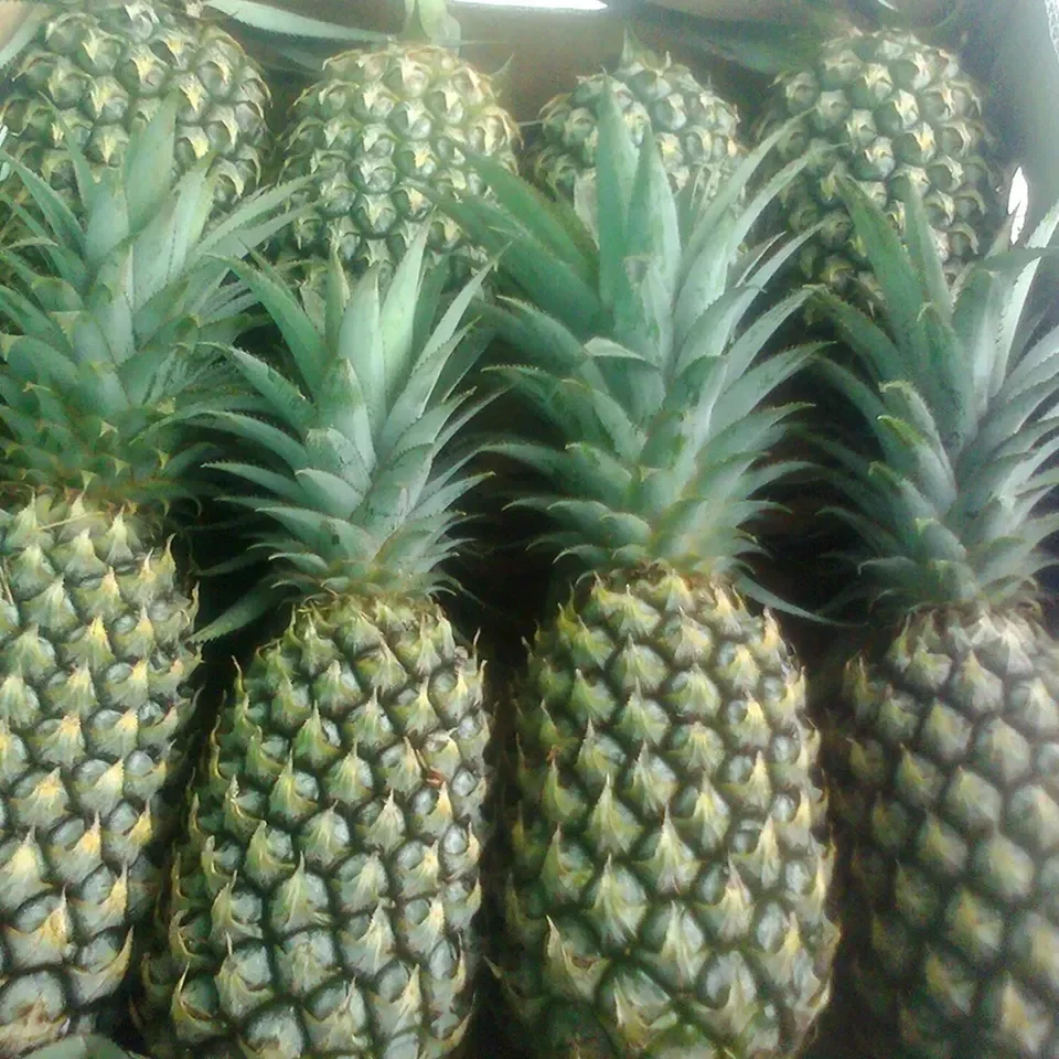 Export Quality Natural Fresh Sourness Beautiful Golden Color Super Sweet Fresh Pineapple