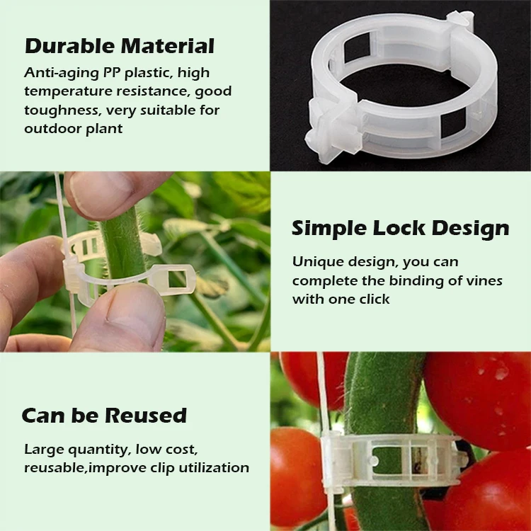 High Quality Tomato Clips Tomato Grafting Clips Greenhouse Small Growing Tomato Planting Galvanized Steel Wire 2.3cm