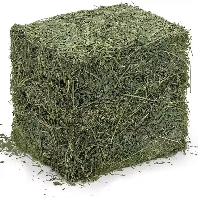 Bales (Alfalfa Hay), Timothy Hay Bales , Oats Hay Bulk Top Grade Alfalfa for Animal Feed / Alfalfa Hay