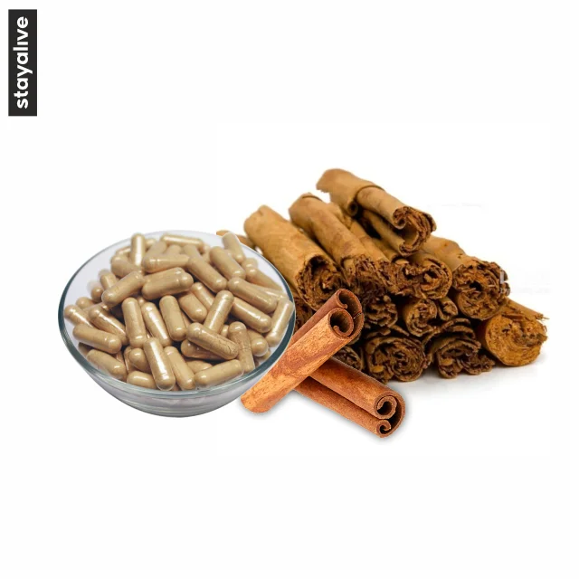 OEM Private Label Service Vegetarian 100% Natural Ceylon Cinnamon Capsules | Non-GMO & Gluten Free Supplement
