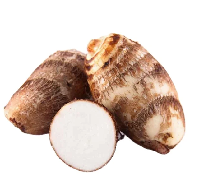 Competitive Price  Quality Best Selling Latest Store Top Grade Organic Natural Taro Root from Indian Exporter from Brazil