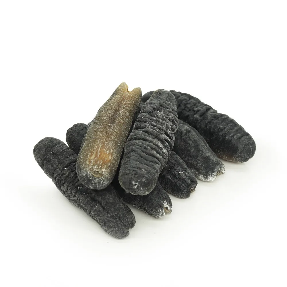 Dried Sea Cucumber Powder for sale | Atlantic Sea Cucumber Asia Europe America Supply