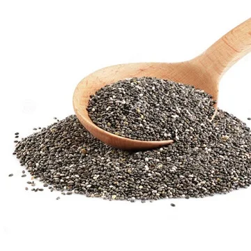 Bulk Chia Seeds Dried Seed for Sale at Good Price
