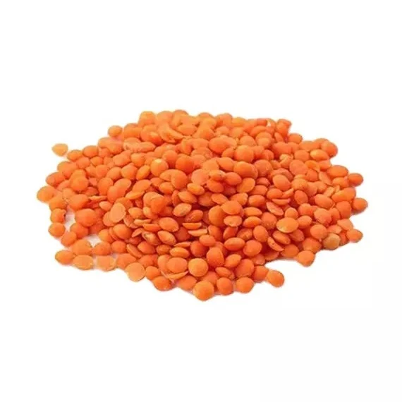 High Quality Organic Red Lentils / Split Red Lentils Available for Sale at Low Price