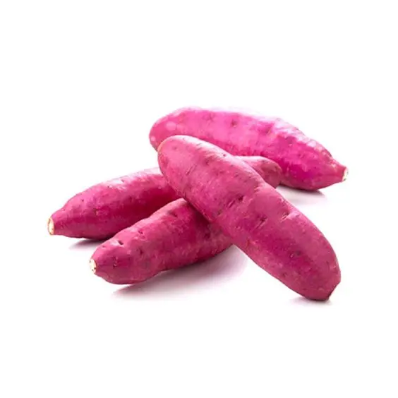 Bulk export competitive price Japanese sweet potato from Vietnam supplier
