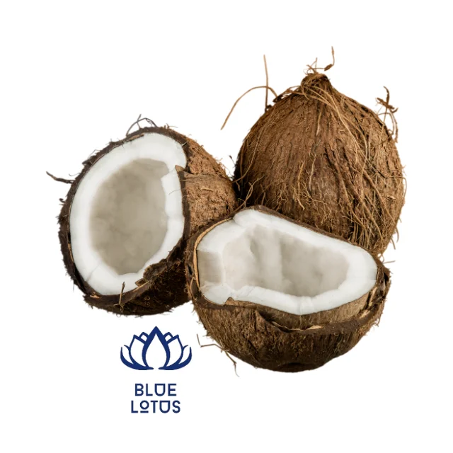 Зрелый кокос из Вьетнама