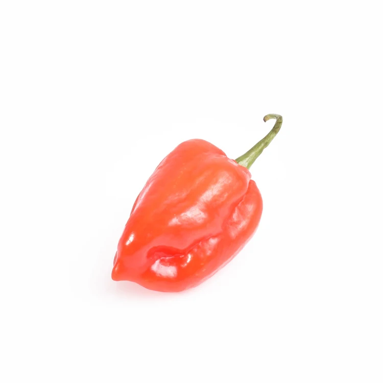 Высококачественный натуральный органический перец хабанеро свежий чистый красный перец чили Капсаицин для продажи