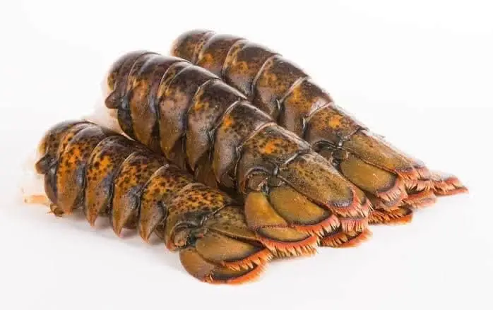 Canadian Frozen Lobster Tails Fresh Lobsters for sell Frozen Lobsters for Sale at Cheap Price