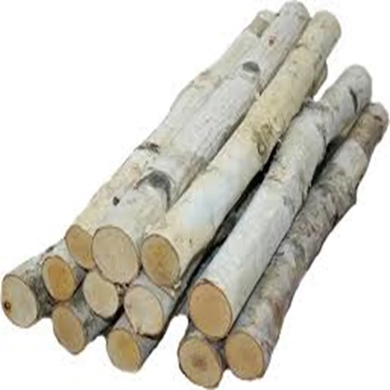 High Quality Pine Eucalyptus Oak and Teak Wood Logs Timber Sawn Wooden Logs Material that Sells like Hot Cakes