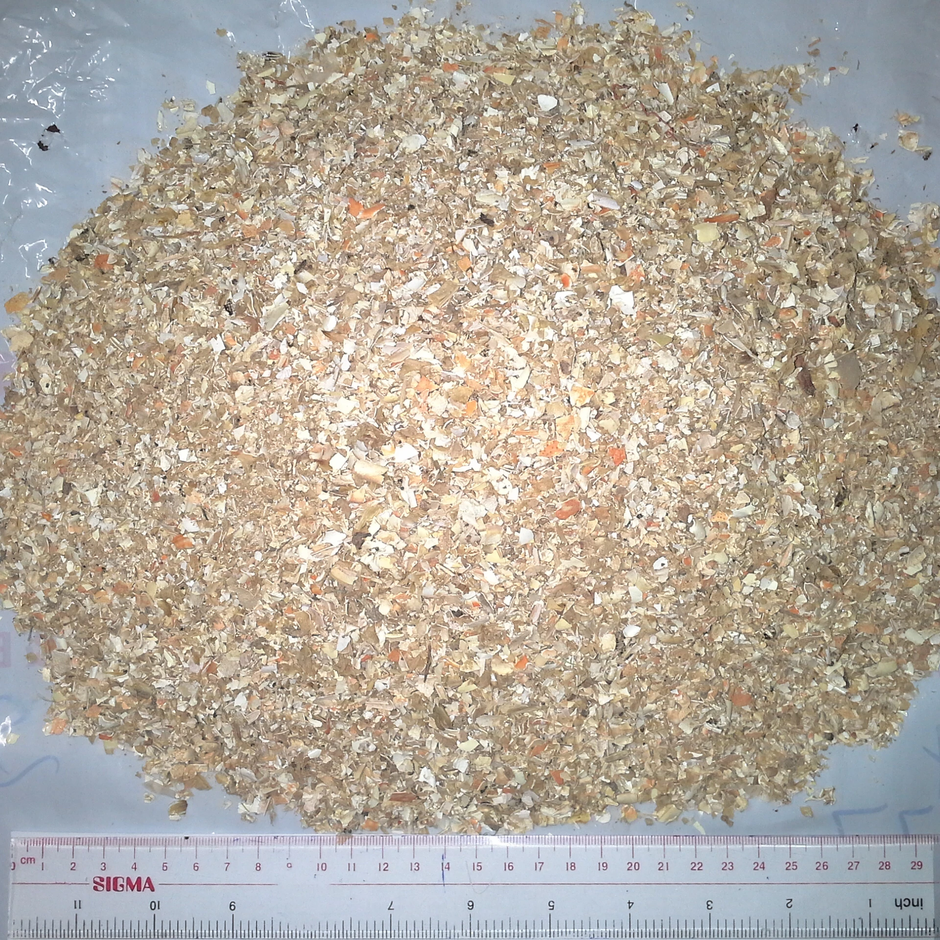 Natural Scallop Shell Washing Powder Offering low price Scallop Shell Calcium Hydroxide Powder For Disinfection ANGLE