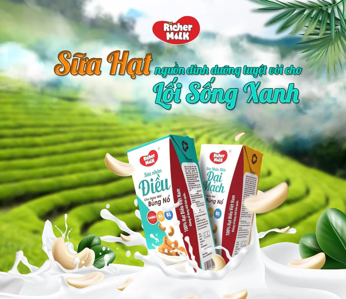 Молоко кешью от вьетнамского производителя более богатое