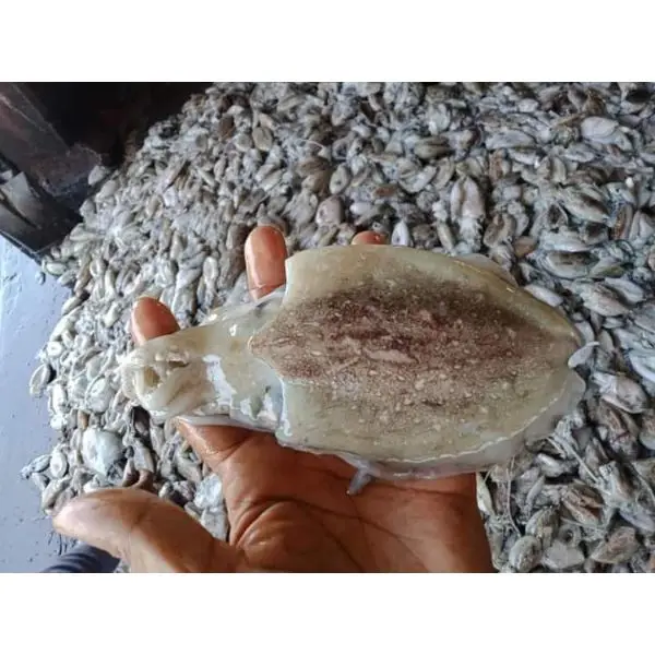 Лучшие морепродукты/замороженная цельная круглая