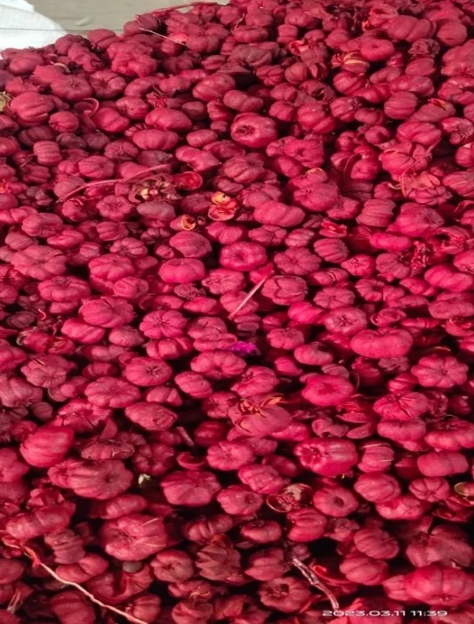 Putka pods Mini pumpkin potpourri natural  Dry  Decoration Party Wedding  Decorative Pcs Color Plants Material Original