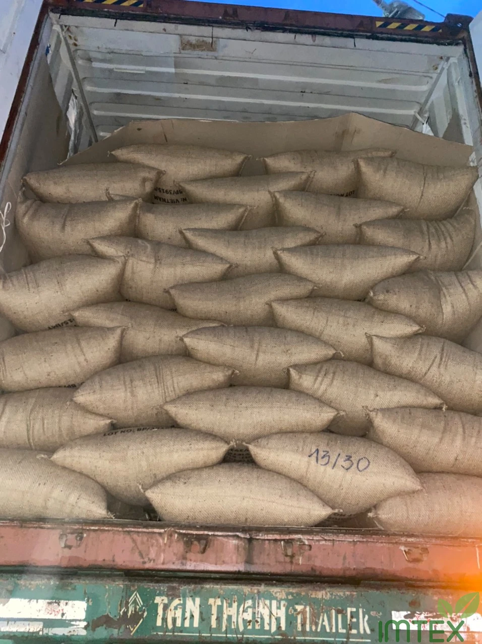 HOT SALE VIET NAM BLACK PEPPER 570 G/L PREMIUM QUALITY