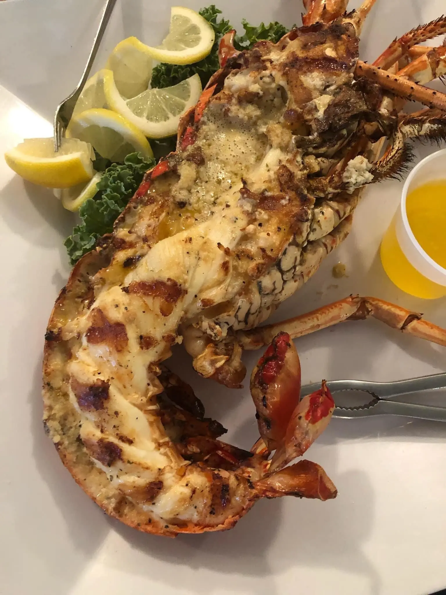 Frozen Lobsters Style Packaging Lobster Holiday Weight Shelf Origin Type Life Size BRC Days Place Model COMPANY Freezing Process