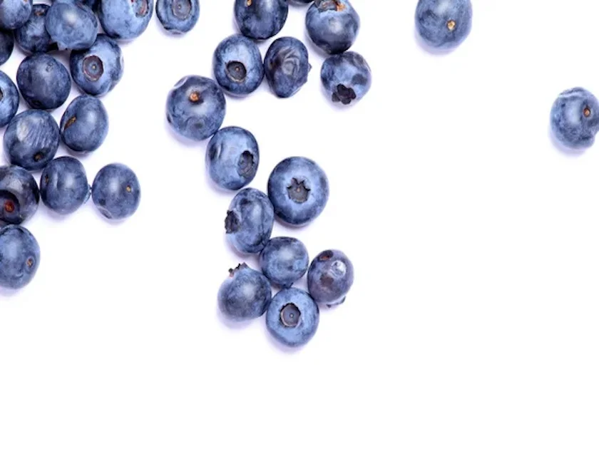 Blueberry Tress and Bush For Sale
