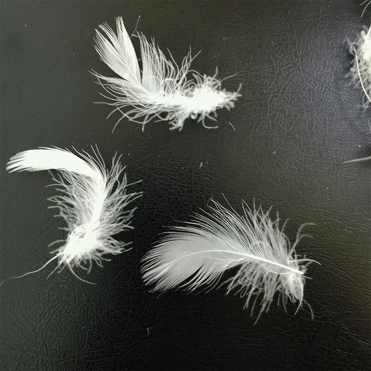 IDFL certified high cleanliness natural raw filling materials washed 2-4cm white goose feather