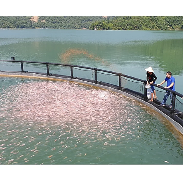 Hdpe Fish Cage Cheap Price Durable Aquatic Research Center Floating Round Cage Custom Designs Vietnam Manufacturer