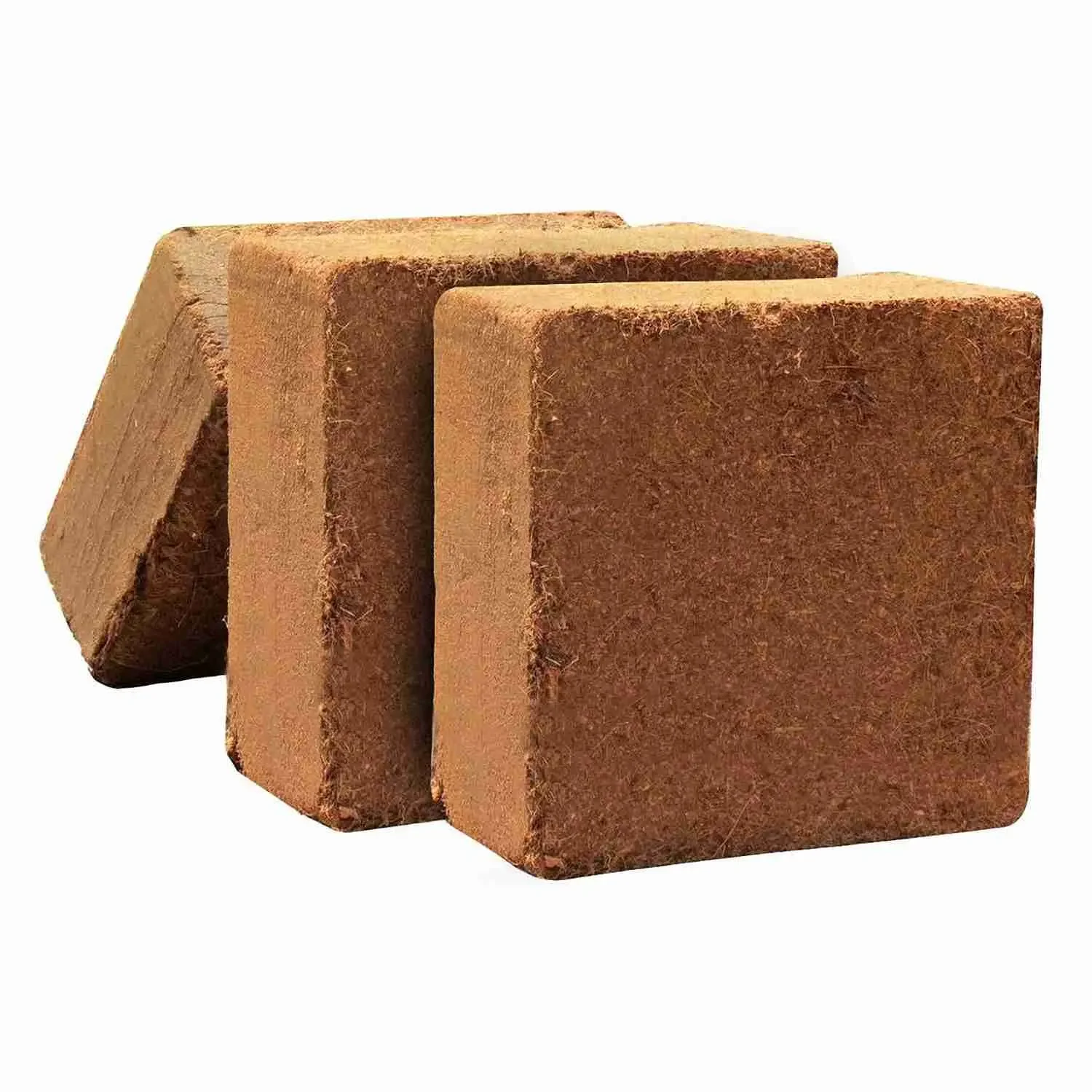 Wholesale High Quality Coconut Peat for Plant/ From India with
