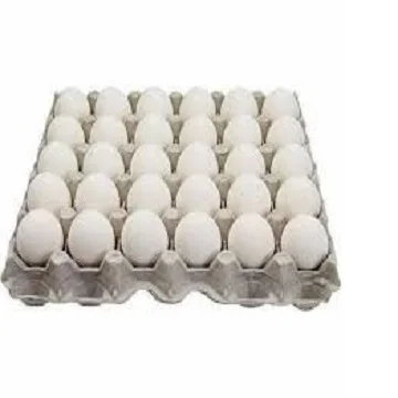 Broiler hatching eggs Ross 308 and Cobb 500 and Chicken Table Eggs fresh