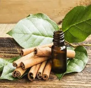 Huge Selling Of Cinnamon Oil From India at Factory Prices