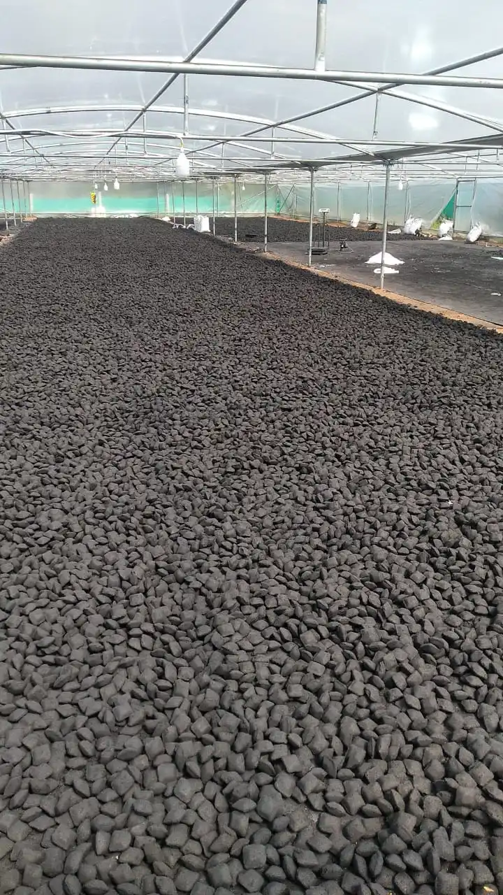 Long term Burning Coconut charcoal Briquettes Sale for Best offer price with customer Packing Size and design