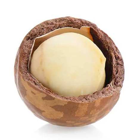 Raw Healthy Food 5kg Bag Dried Roasted Macadamia  Macadamia Nut From Factory for Export Nuts for Sale