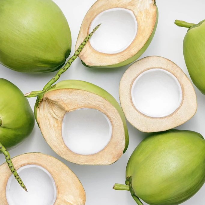 Fresh Young Coconut Water From Vietnam | V.A.F Vietnam Agriculture Food